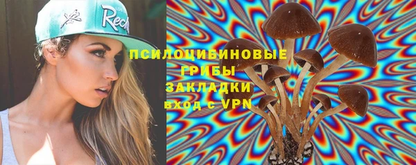 дурь Алзамай